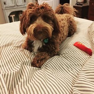 Meet your Posher, Julie